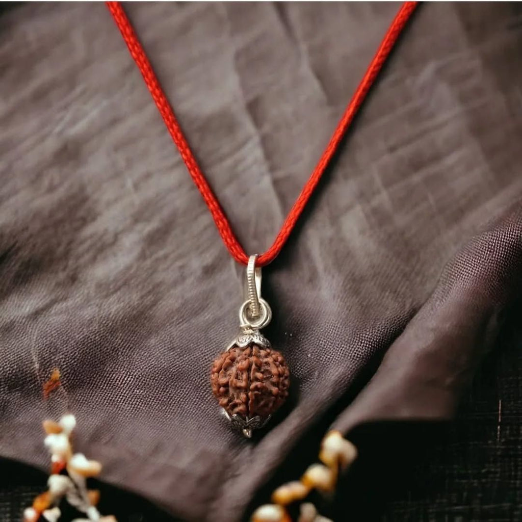 5 Mukhi Rudraksh