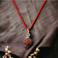 5 Mukhi Rudraksh