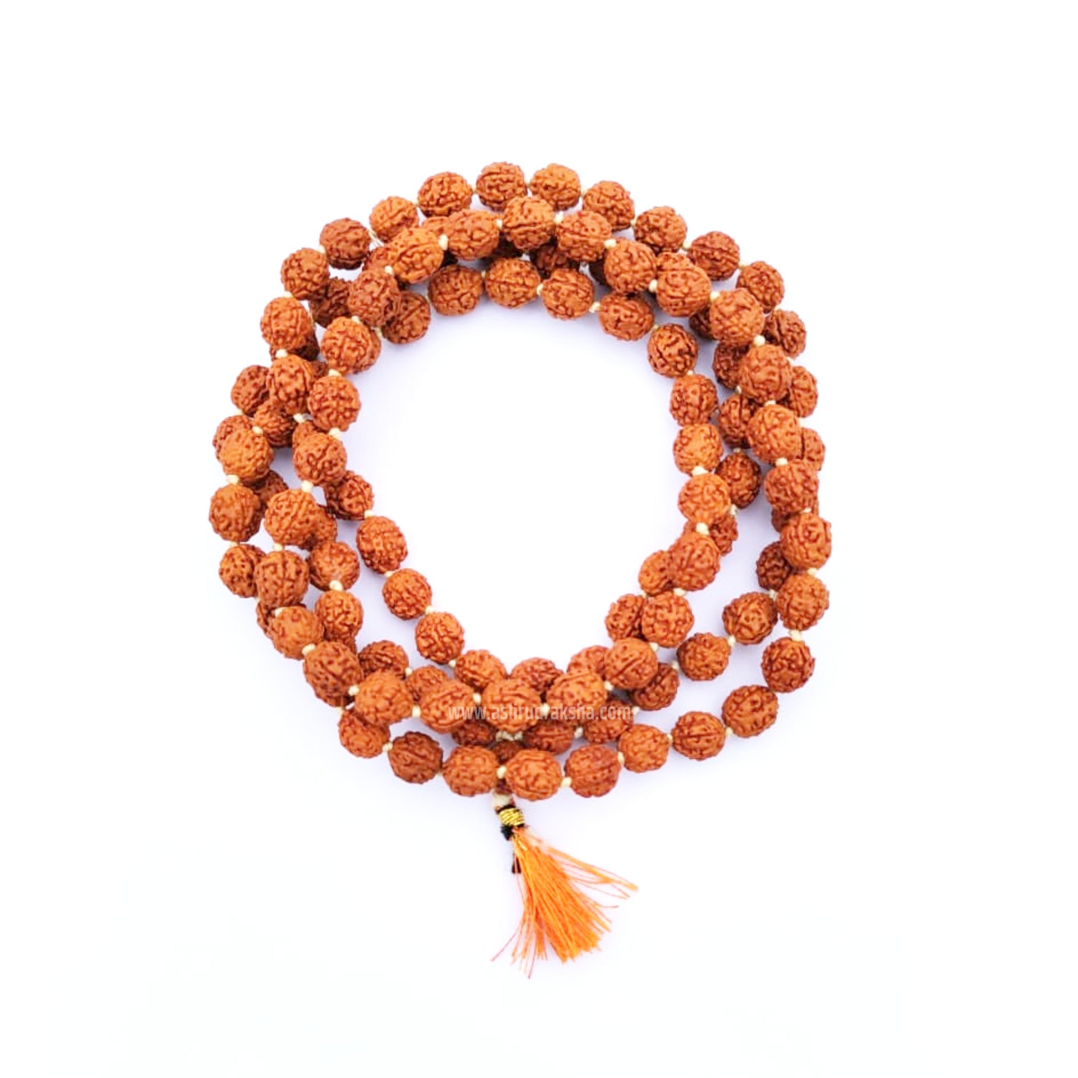 Rudraksh Mala