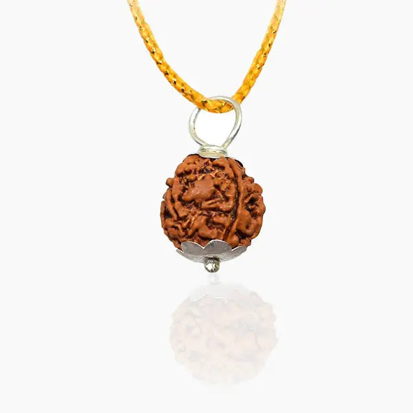 6 Mukhi Nepali Rudraksh