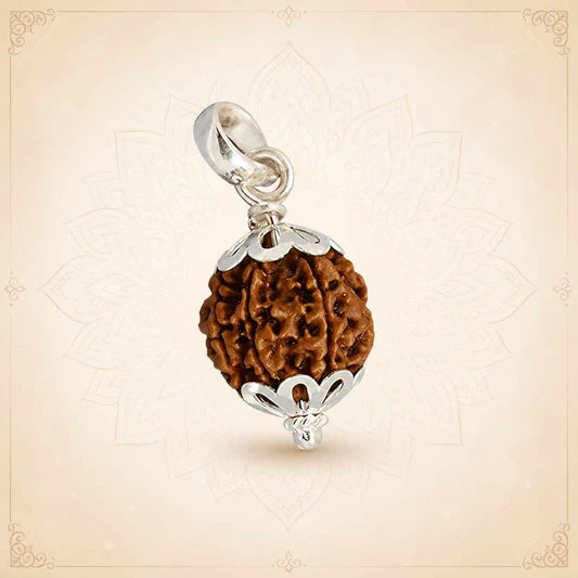 6 Mukhi Nepali Rudraksh