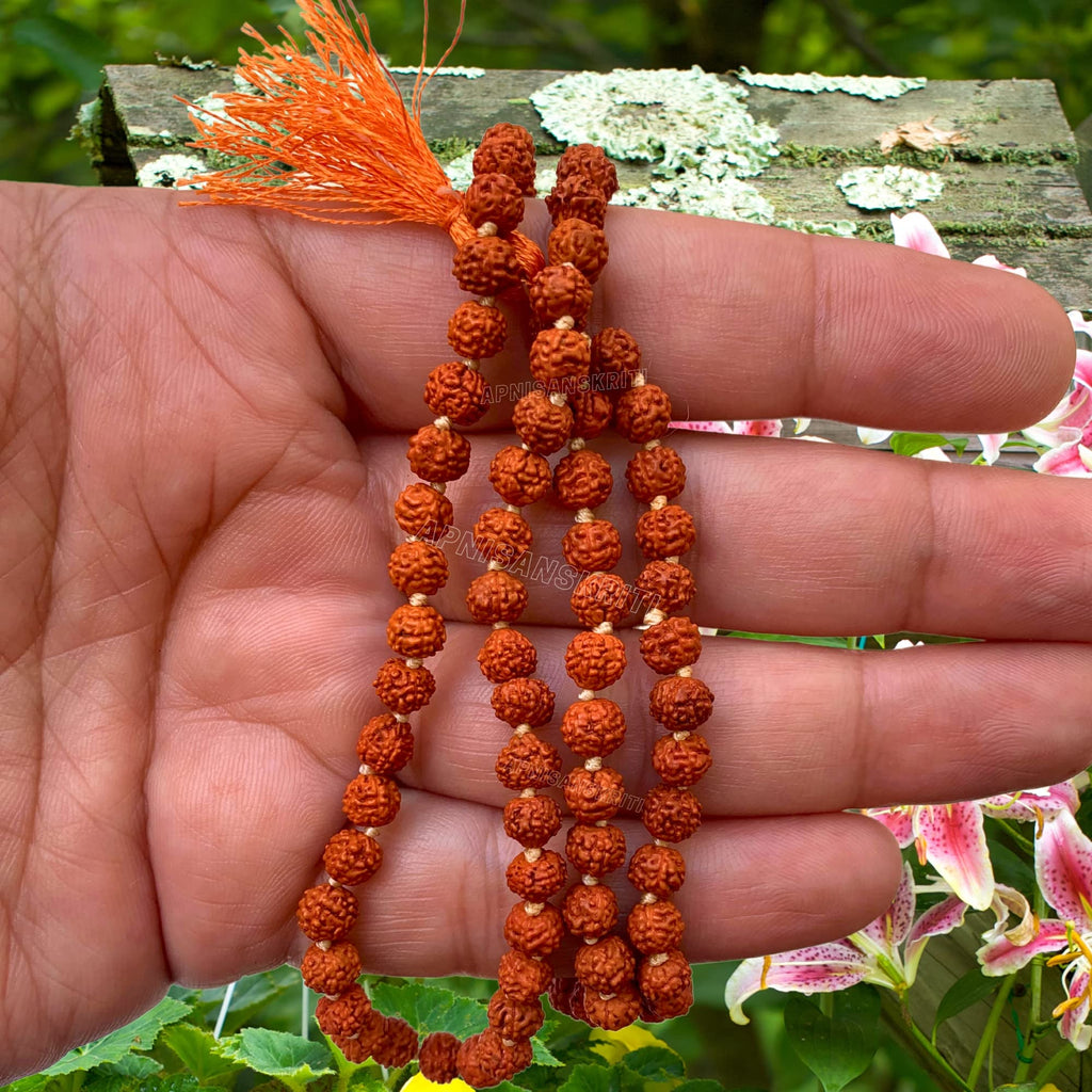 Rudraksh Mala