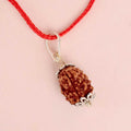 3 Mukhi Nepali Rudraksh
