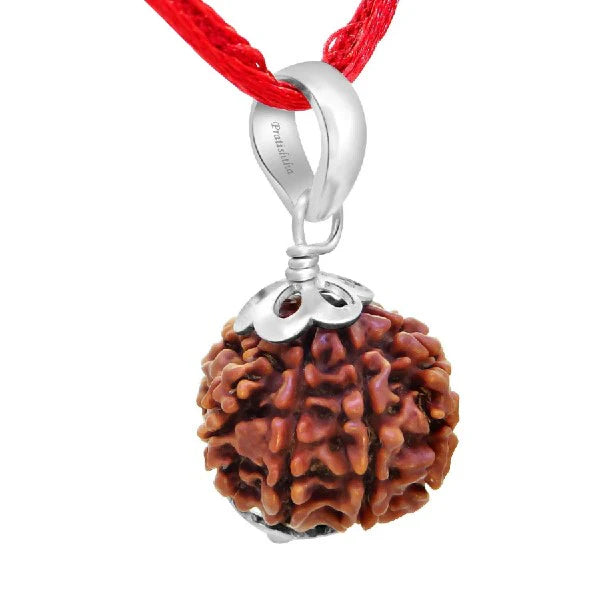 8 Mukhi Nepali Rudraksh
