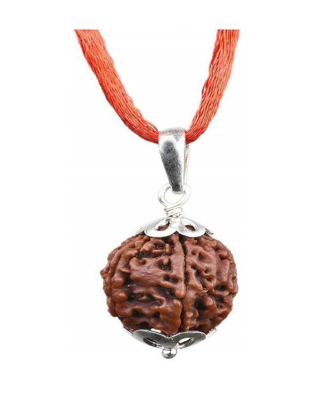 5 Mukhi Rudraksh